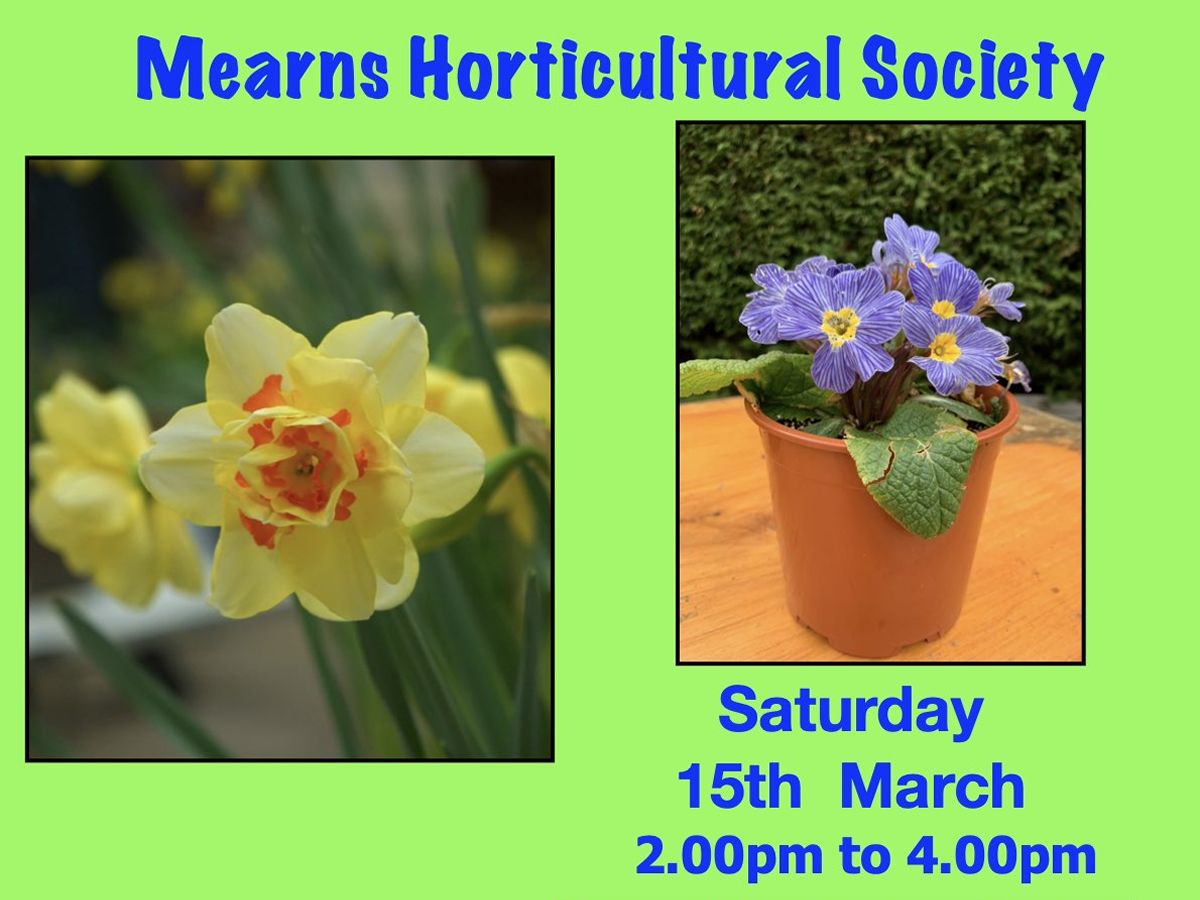 Mearns Horticultural Society Annual Spring Flower Show