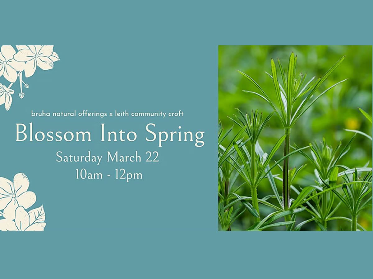 Blossom Into Spring: A Seasonal Foraging & Herbal Workshop