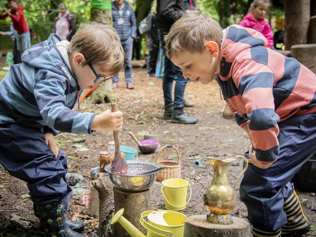 Forest Open Morning