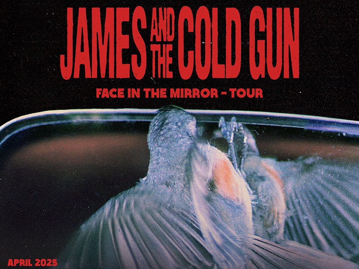 James and the Cold Gun