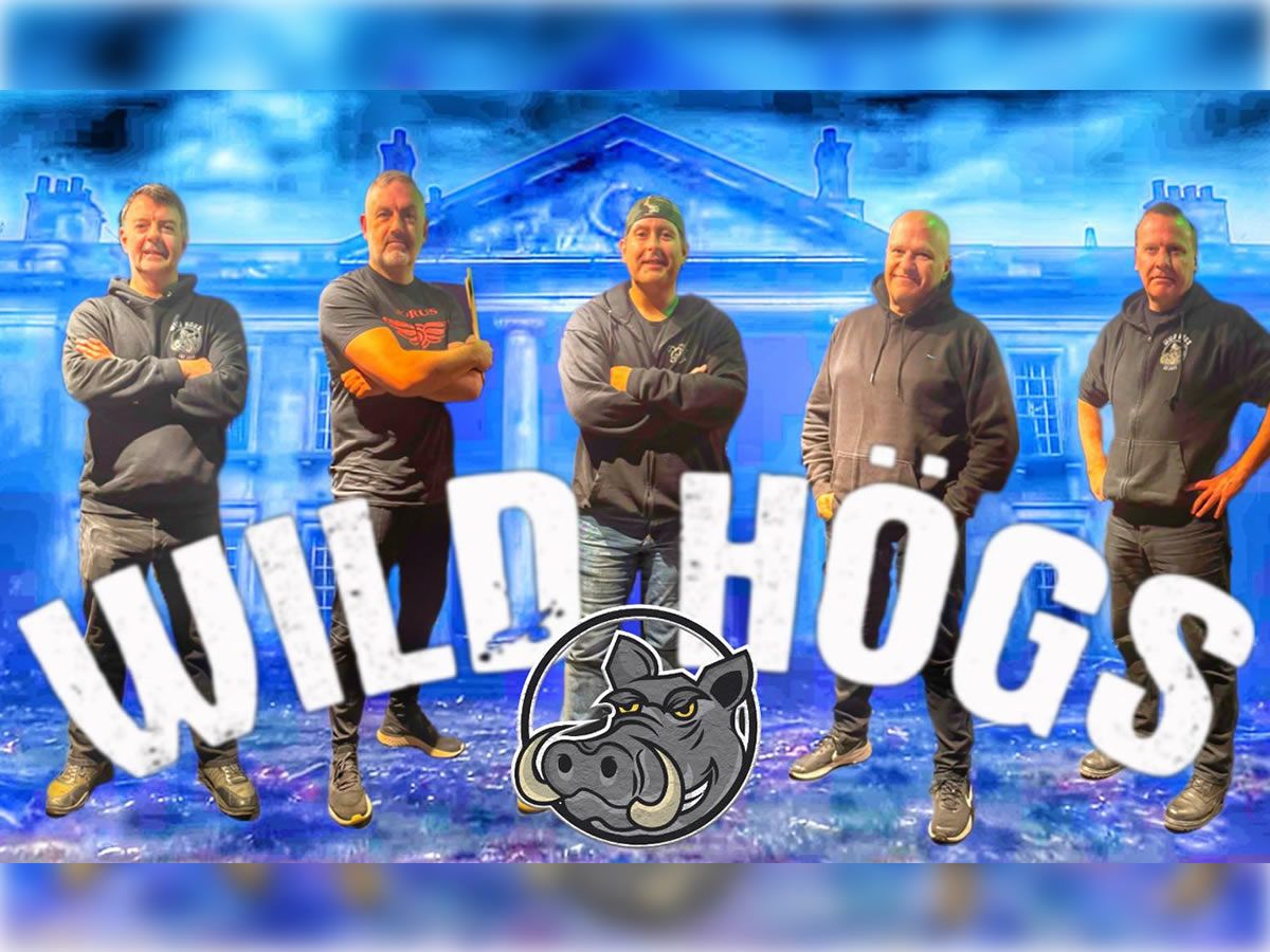 Wild Hogs