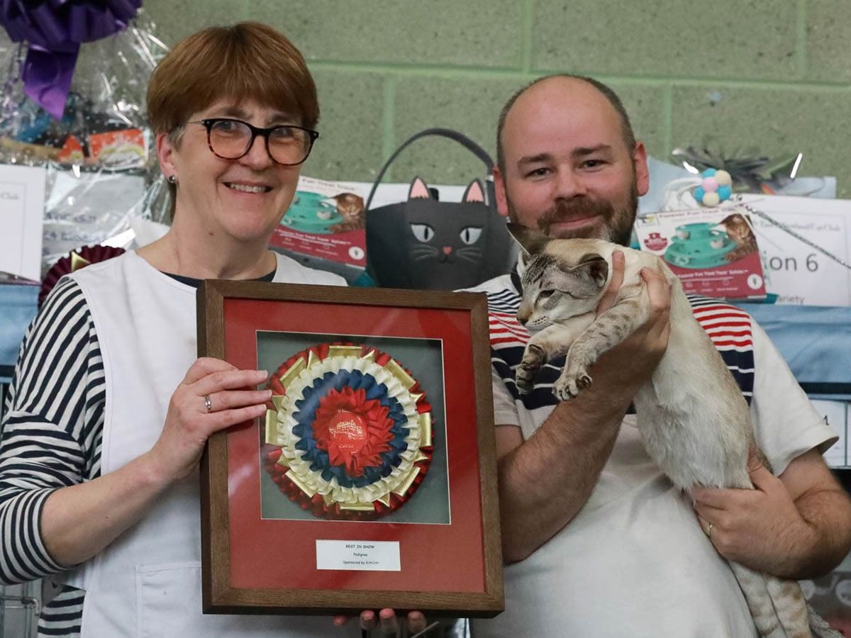 Edinburgh & East of Scotland Cat Club 65th All Breed Championship Show