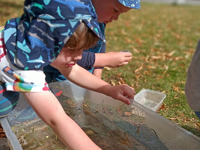 child-wood-at-falkland-estate-falkland-what-s-on-fife