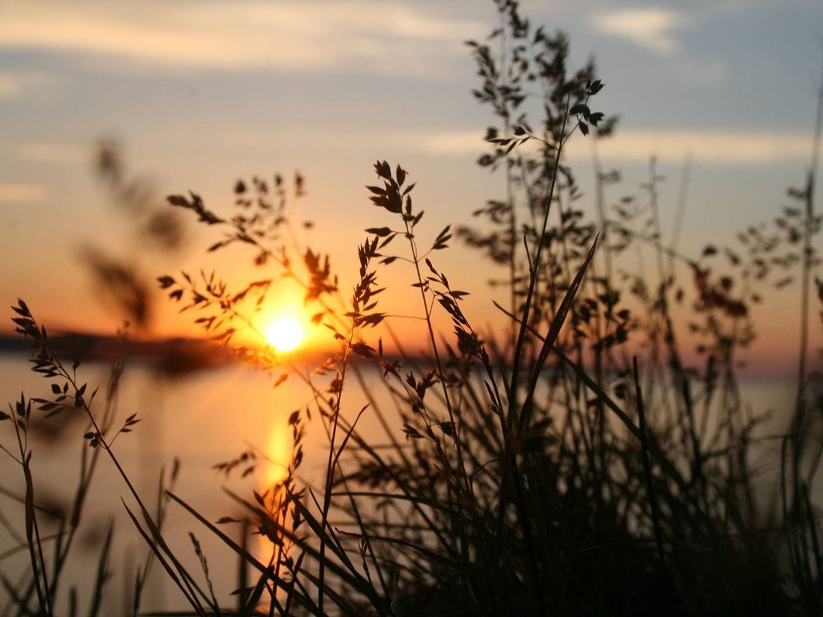 Guided Wildlife Walk