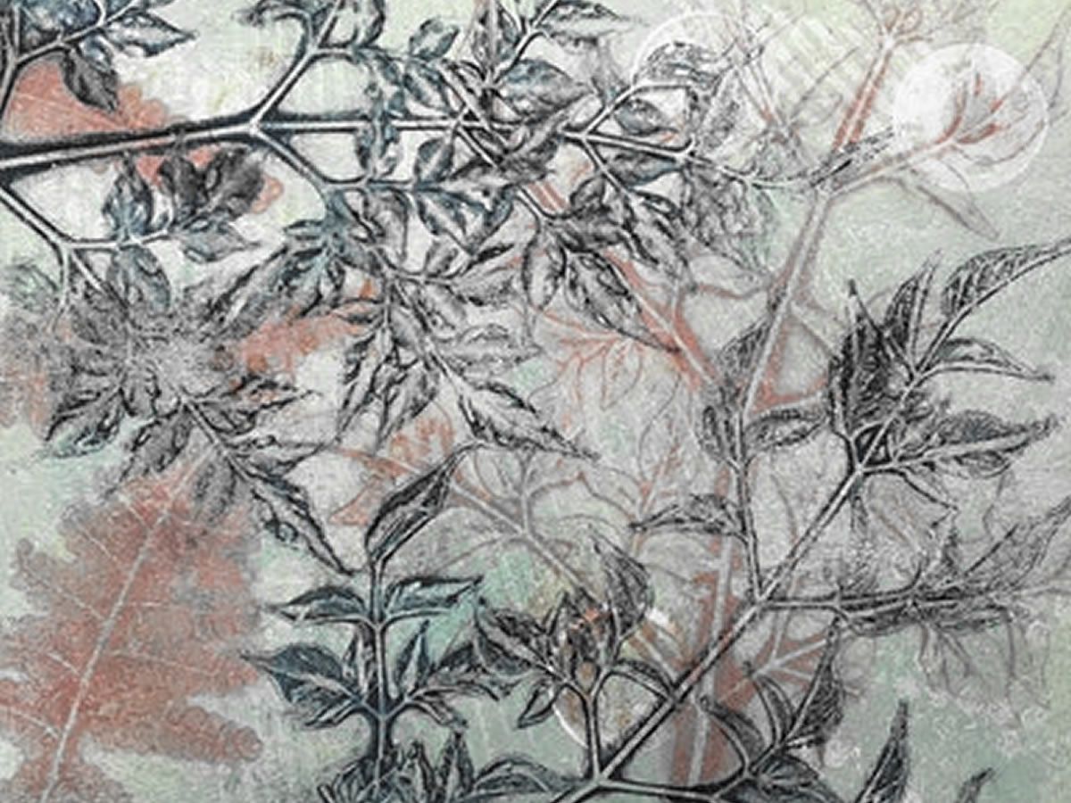 Gelli Printing - the Winter Garden