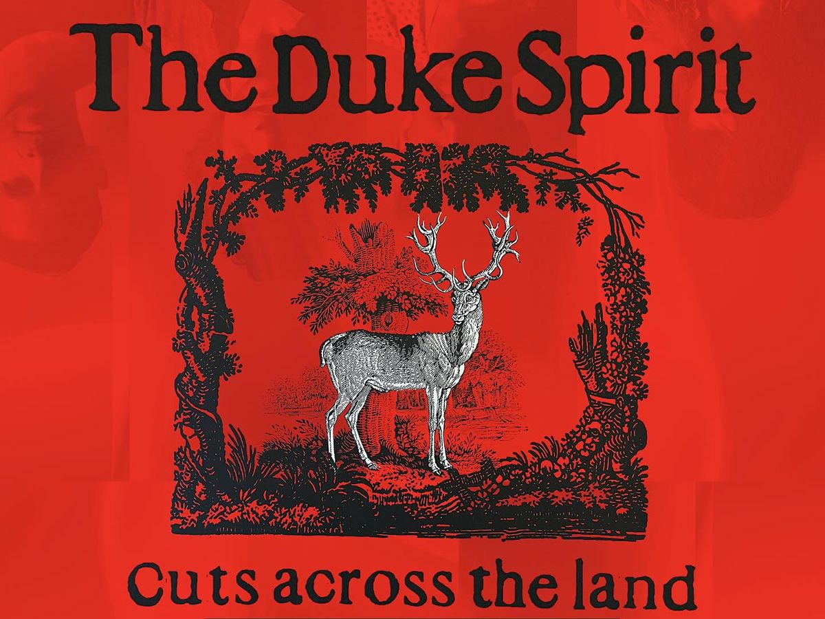 The Duke Spirit