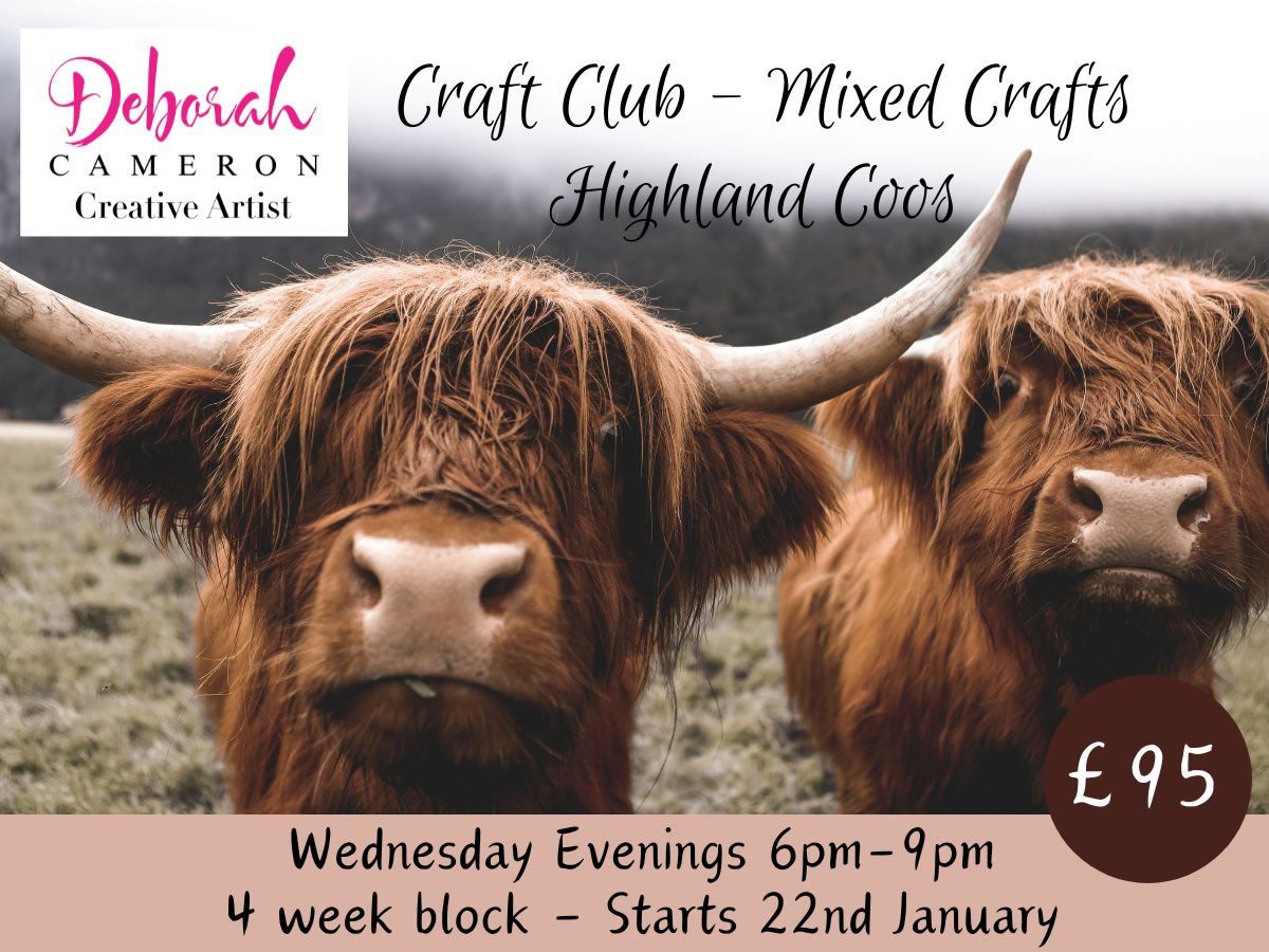 Craft Club: Mixed Crafts - Hairy Highland Coos