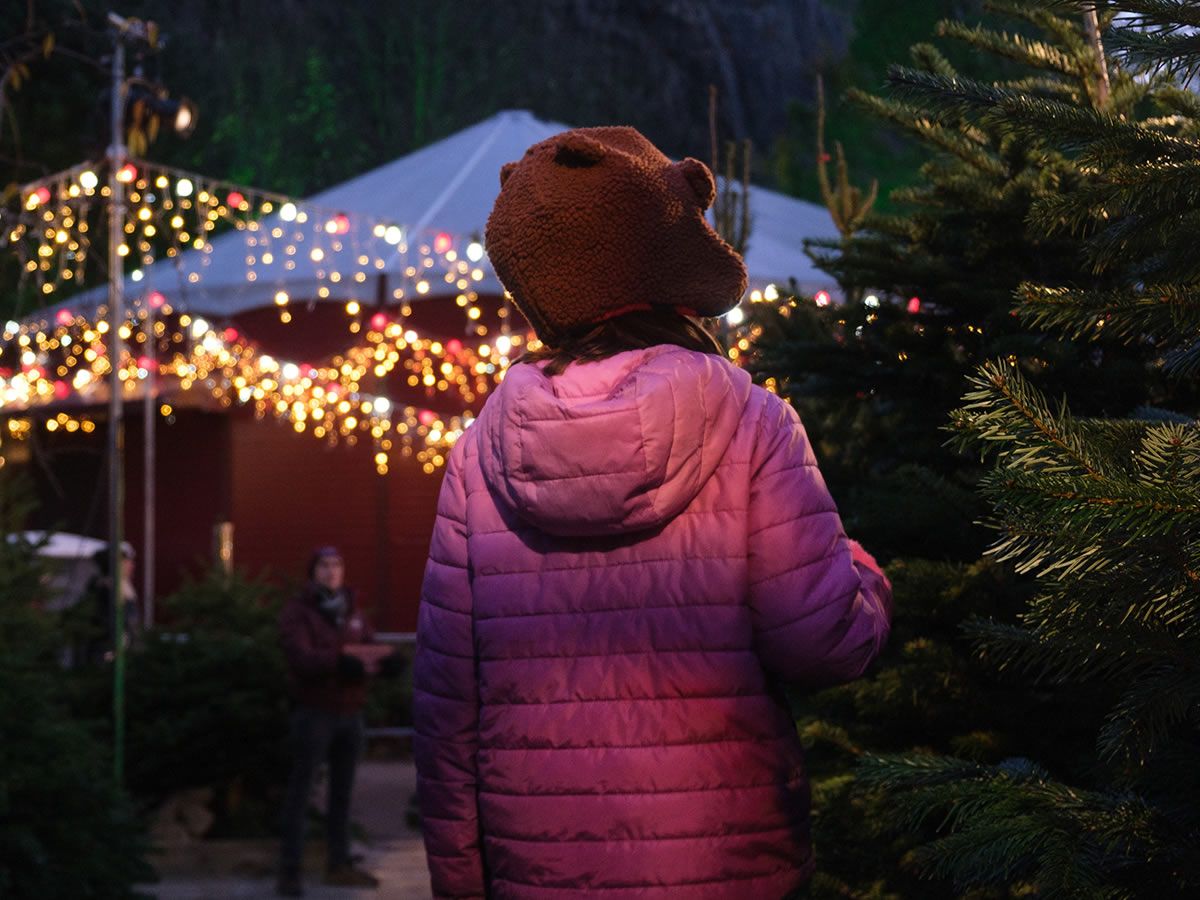 Edinburgh’s Christmas: Christmas Tree Maze