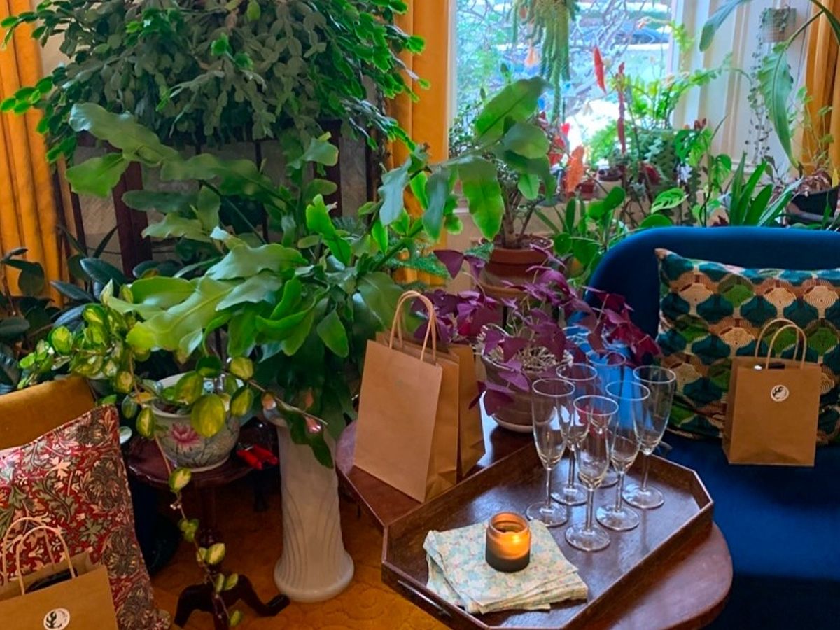 Plants and Prosecco Plantcare Evening