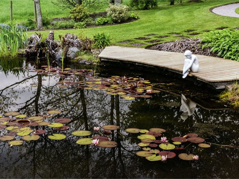 Scotland’s Gardens Scheme Open Garden: Kirkmuir Cottage