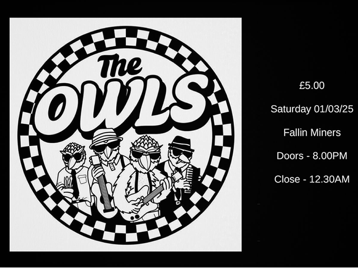 The Owls - SKA Band