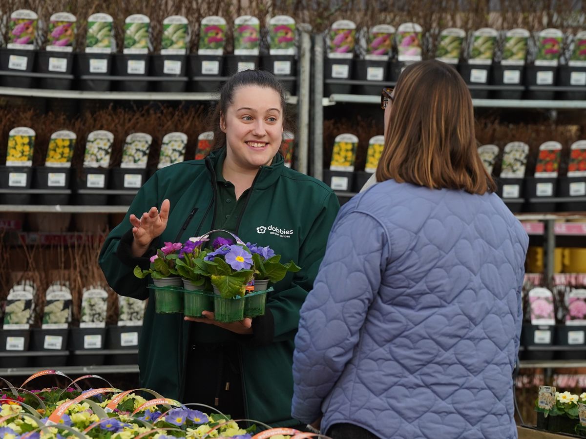 Free gardening workshops at Dobbies this March