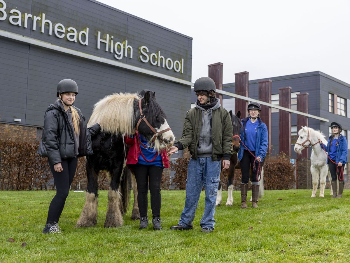 Horse power will drive young people to success