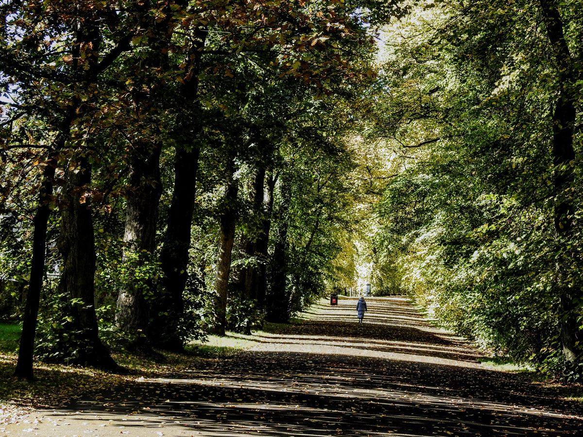 Renfrewshire Walking Network Community Walks