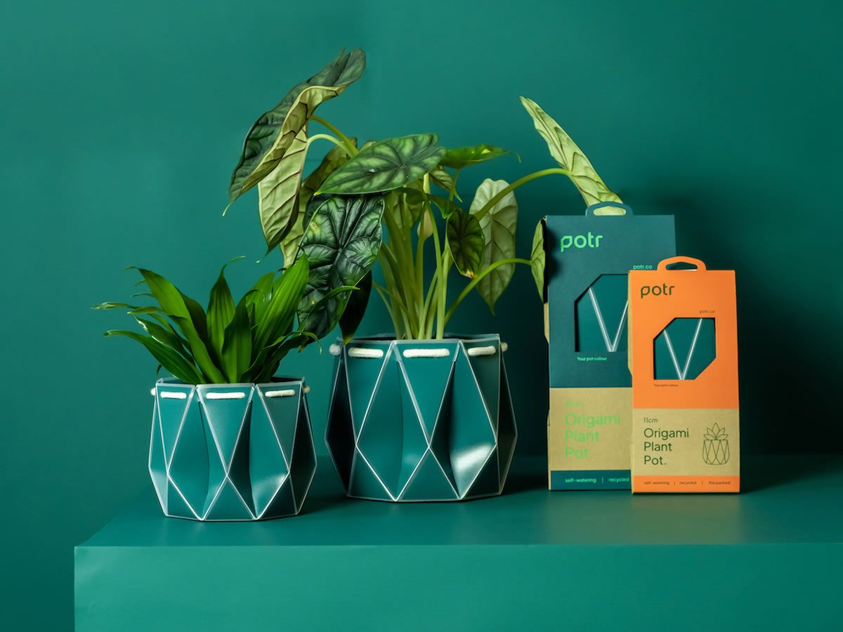 Gift Green: POTR pots make festive debut at John Lewis