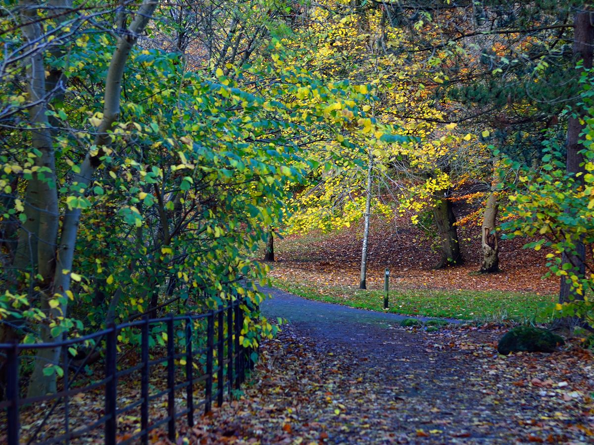 Bellahouston Park