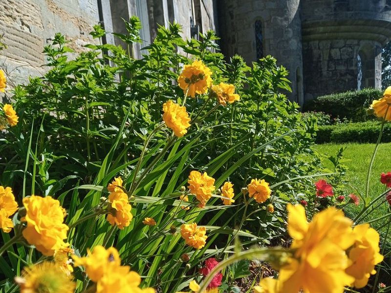 Scotland’s Gardens Scheme Open Garden: Dunimarle Castle