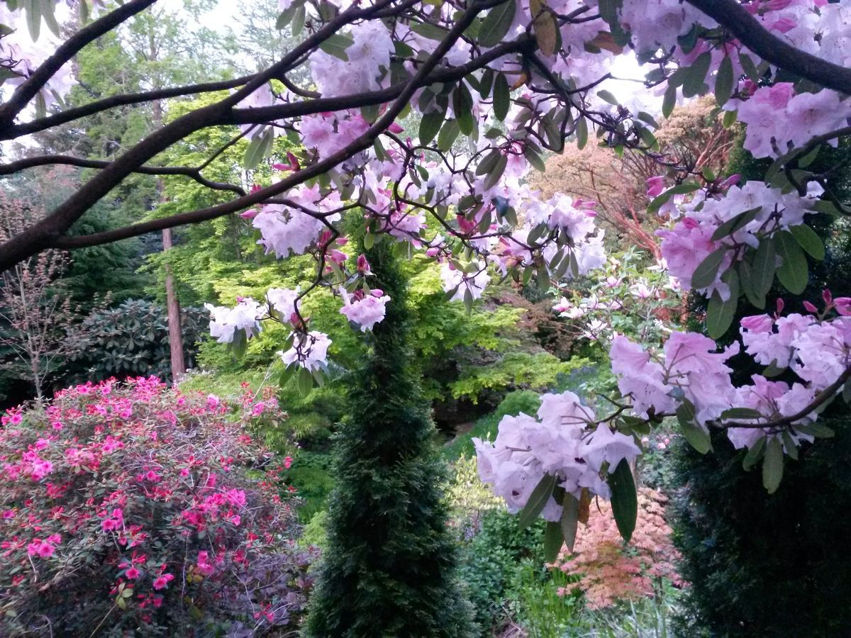 Scotland’s Gardens Scheme Open Garden: The Croft