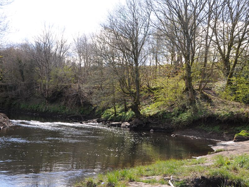 PNHS Talk - Jenny’s Well Nature Reserve