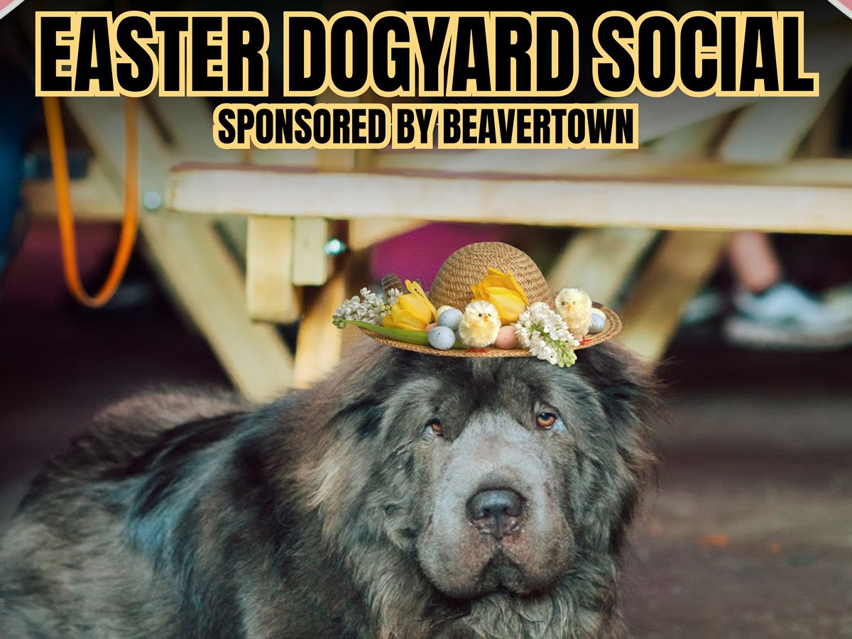 Easter Dogyard Social x Beavertown