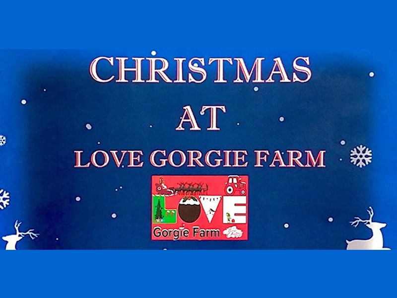 Christmas at Love Gorgie Farm