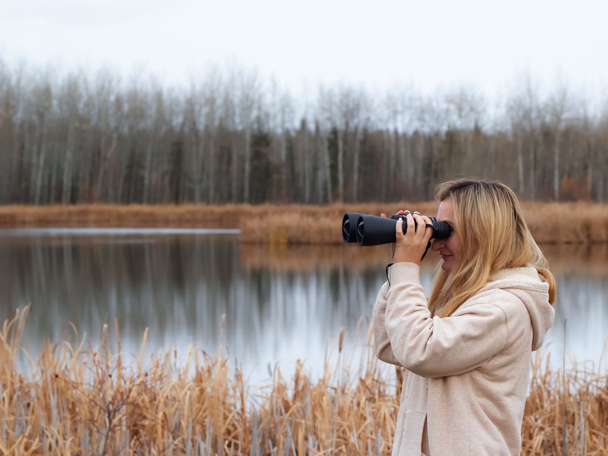 Birding for Beginners - Big Garden Birdwatch Special