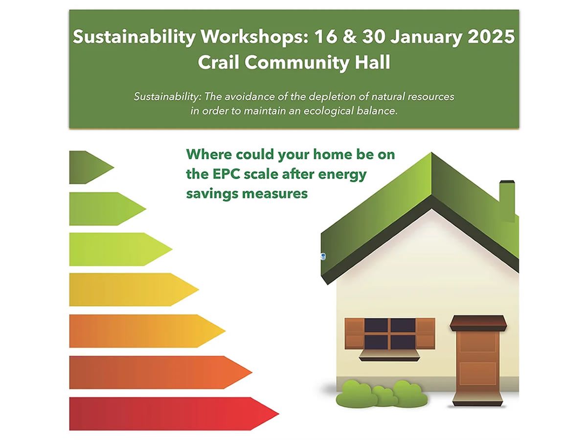 Sustainability Workshops