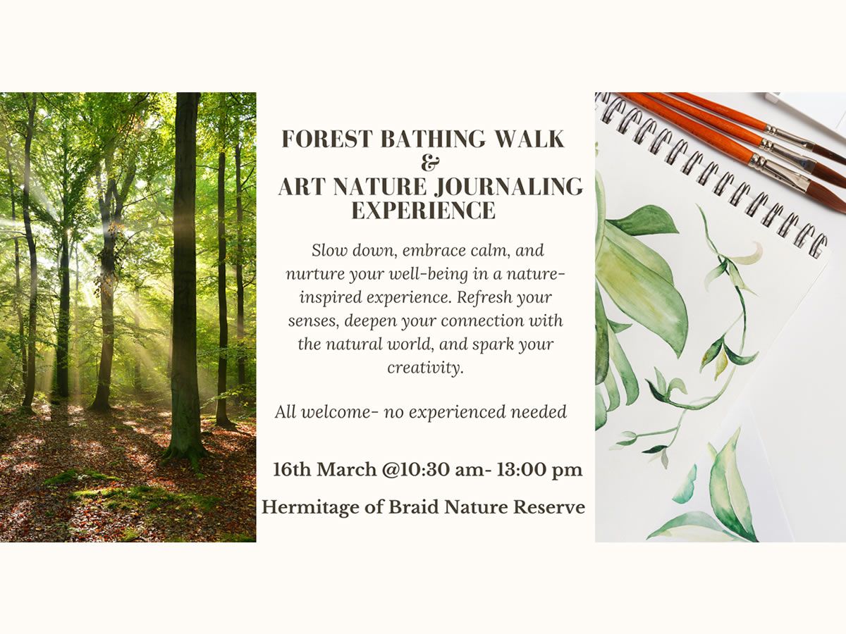 Spring Forest Bathing Walk & Journaling in Nature Experience