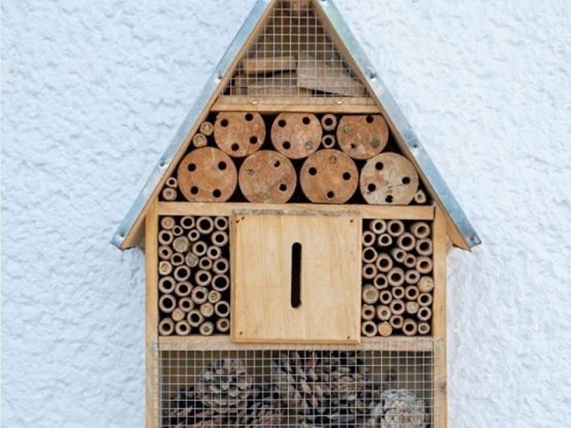 Family Friendly Bug Hotel Building Workshop at The Deep End, Glasgow ...