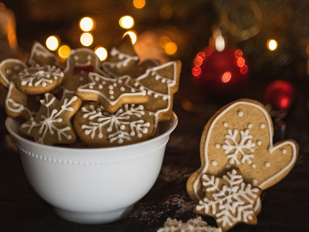 The Christmas Cookie Icing Workshop