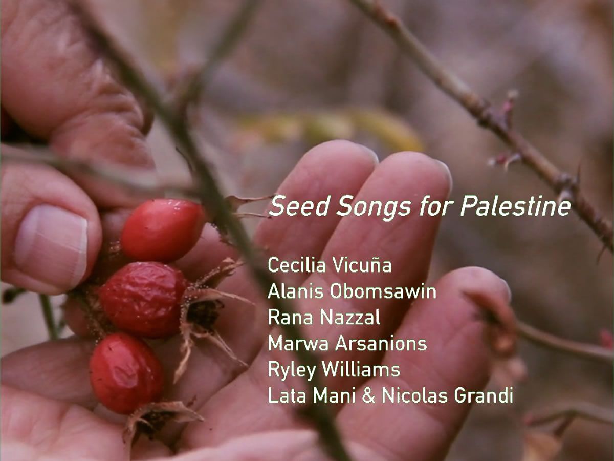 Seed Songs for Palestine Fundraiser