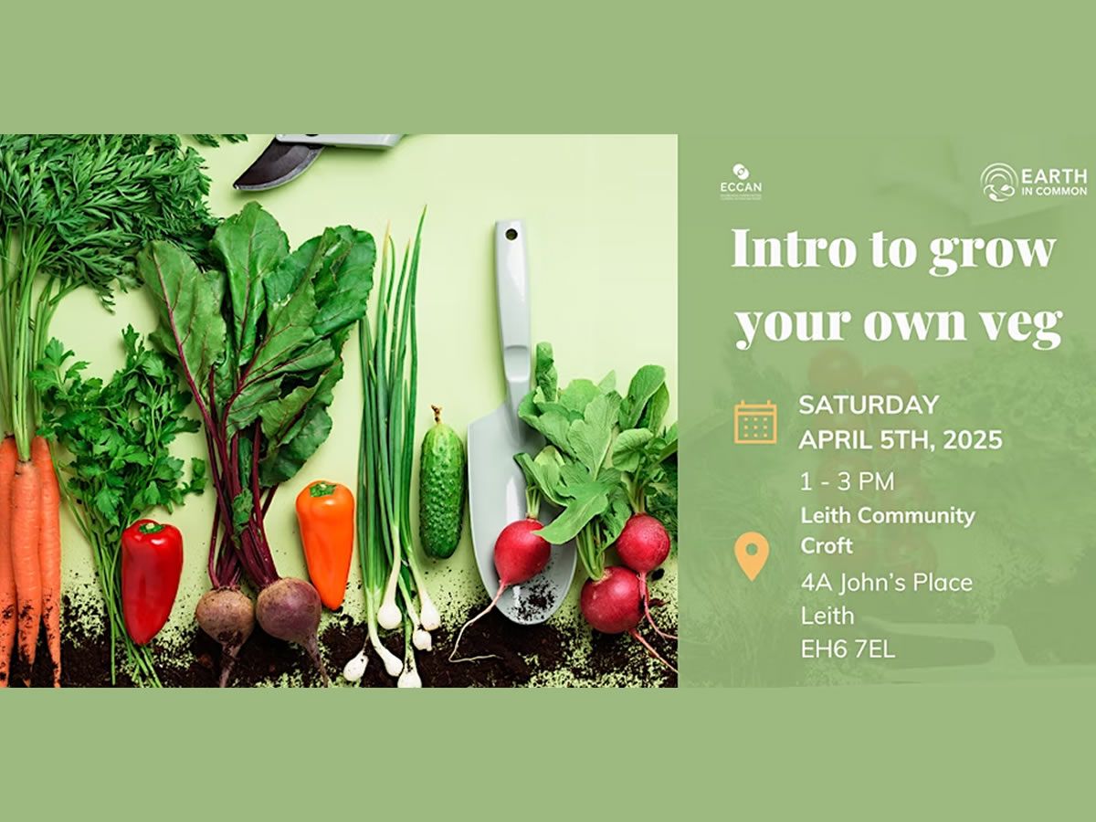 Intro To Grow Your Own Veg