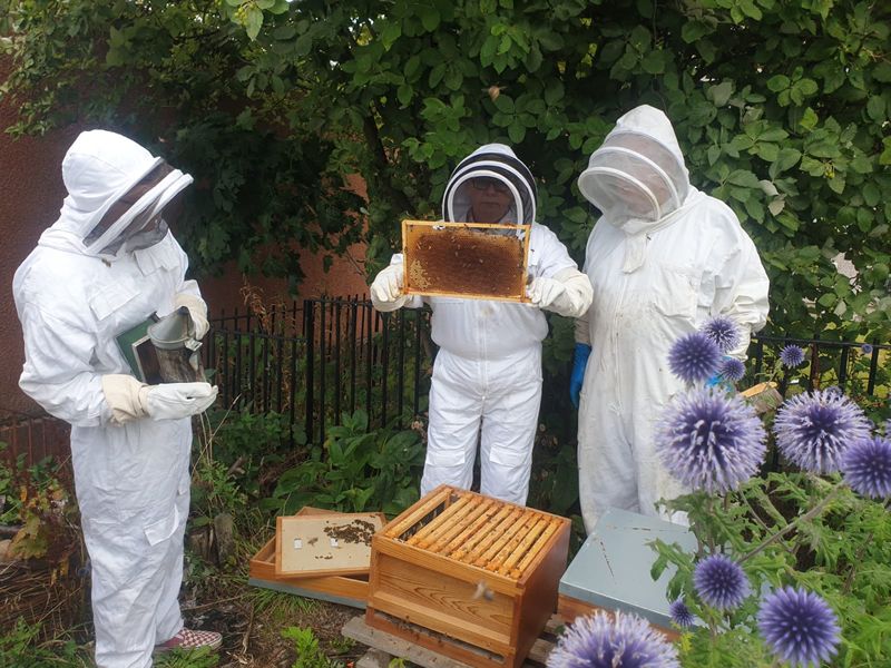 Honeyland Workshop - Honey and Seed Bombs at The Space, Glasgow East ...