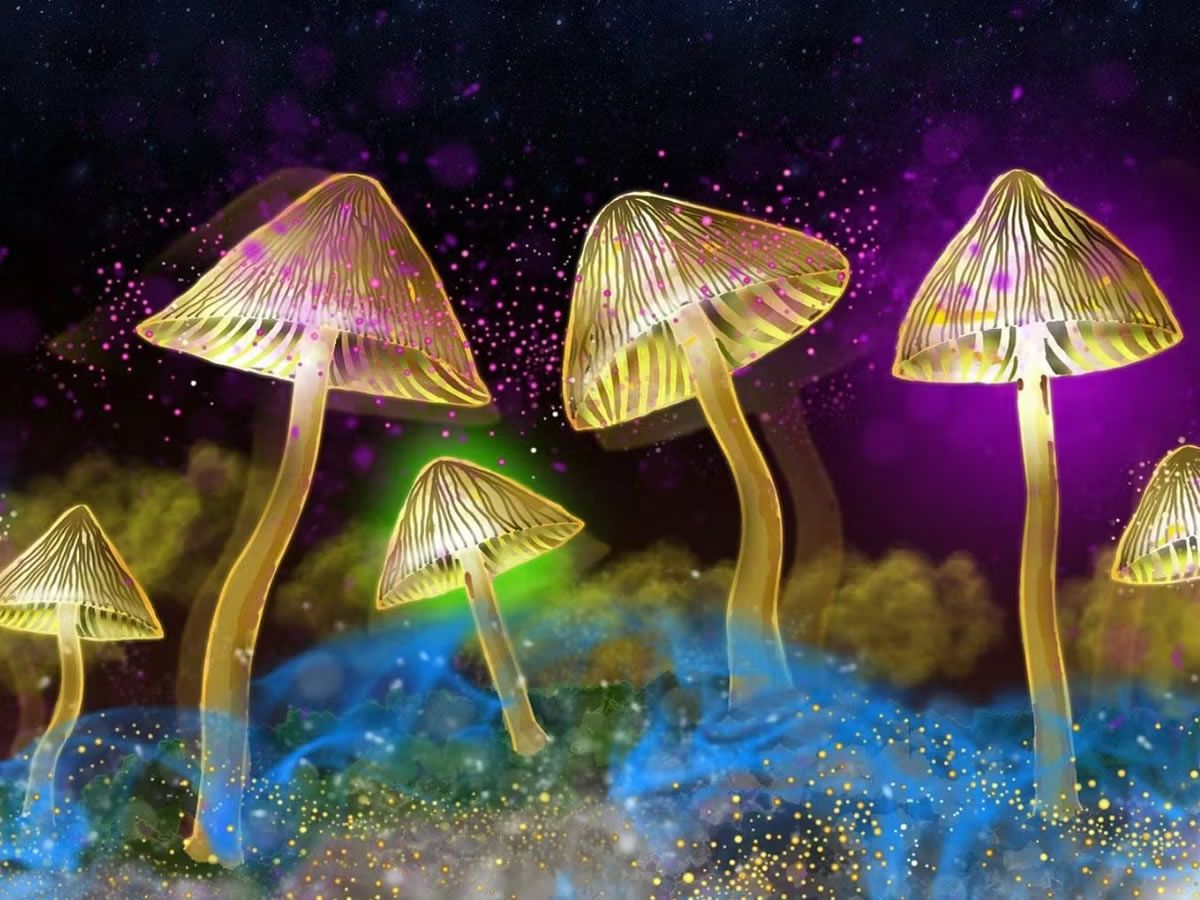 The Science of Magic Mushrooms with Dr Mourad Wahba