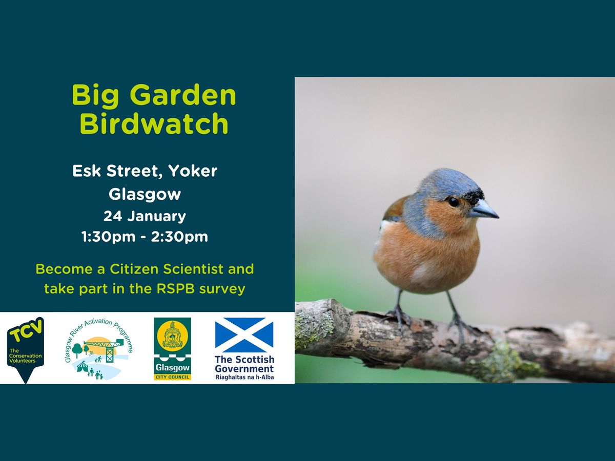 Big Garden Birdwatch - Yoker